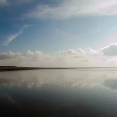 Барсакельмес