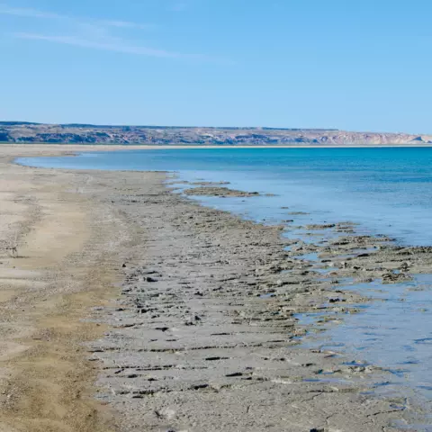 Аральское море