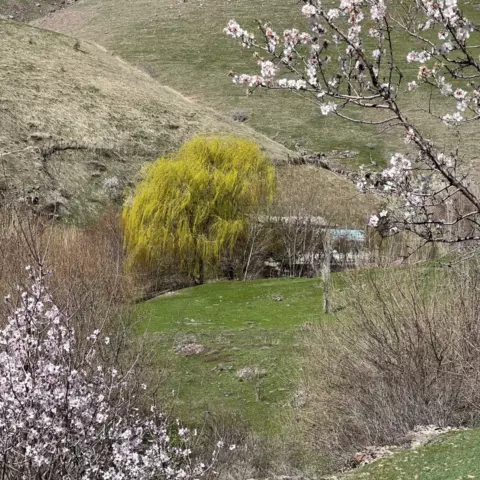 Каньон Таваксай