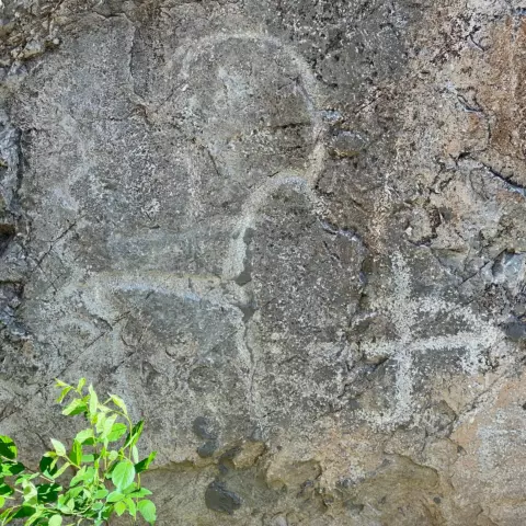 Rough rock wall with visible cracks and texture; a small green plant grows along the bottom left corner.